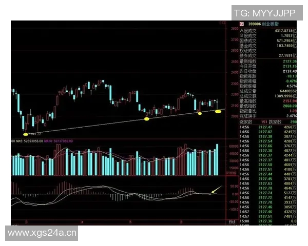 深入分析V5战队的进攻策略与战术布局探讨