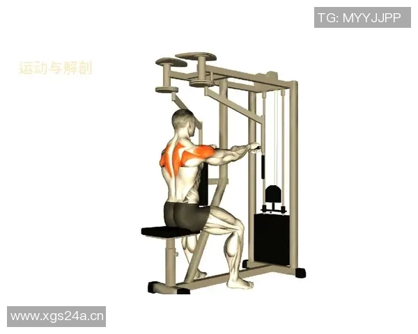 肩臂健身器材选择指南及训练动作详解 肩臂健身器材选择指南及训练动作详解